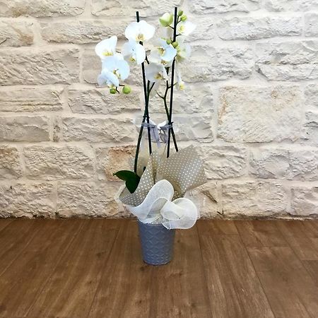 B&B Sant'Agostino Giovinazzo Dış mekan fotoğraf